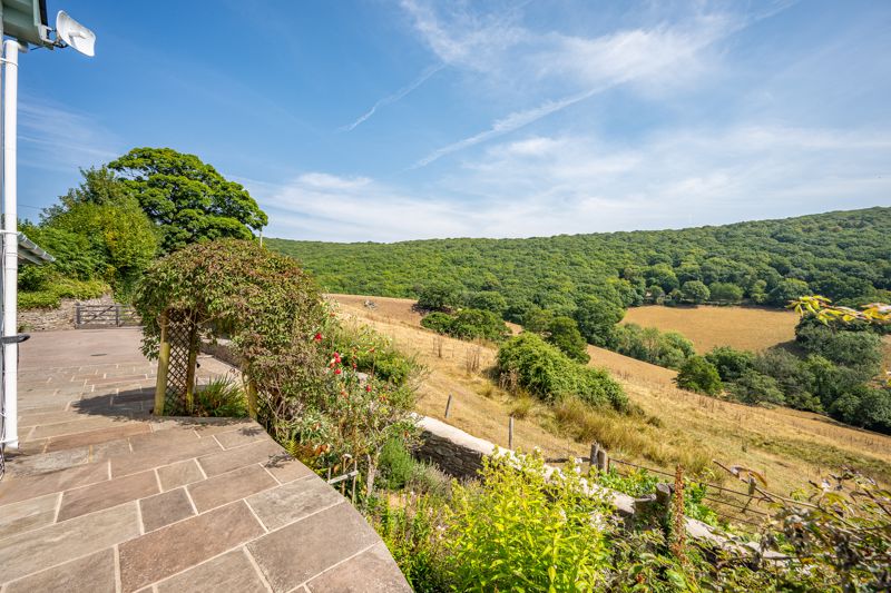 Patio and View- click for photo gallery